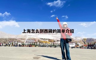 上海怎么到西藏的简单介绍