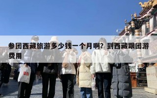 参团西藏旅游多少钱一个月啊？到西藏跟团游费用
