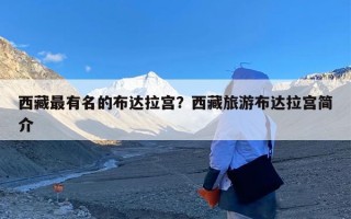 西藏最有名的布达拉宫？西藏旅游布达拉宫简介