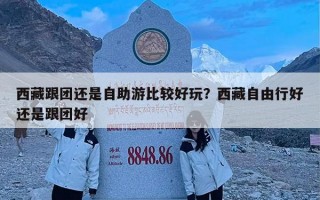 西藏跟团还是自助游比较好玩？西藏自由行好还是跟团好