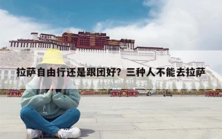 拉萨自由行还是跟团好？三种人不能去拉萨