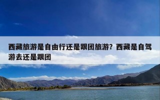 西藏旅游是自由行还是跟团旅游？西藏是自驾游去还是跟团