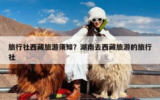 旅行社西藏旅游须知？湖南去西藏旅游的旅行社