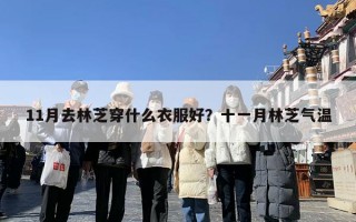 11月去林芝穿什么衣服好？十一月林芝气温