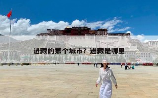 进藏的第个城市？进藏是哪里
