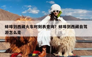 蚌埠到西藏火车时刻表查询？蚌埠到西藏自驾游怎么走