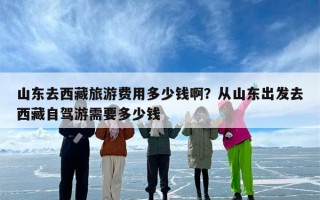 山东去西藏旅游费用多少钱啊？从山东出发去西藏自驾游需要多少钱