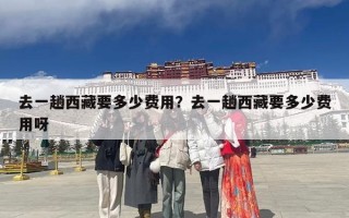 去一趟西藏要多少费用？去一趟西藏要多少费用呀