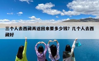 三个人去西藏再返回来要多少钱？几个人去西藏好