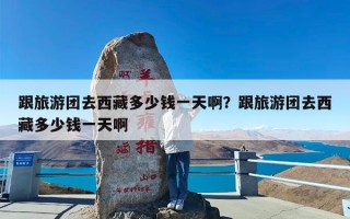 跟旅游团去西藏多少钱一天啊？跟旅游团去西藏多少钱一天啊