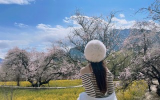 西藏旅游攻略必去景点大全都有哪些？西藏必去的景点有什么地方？
