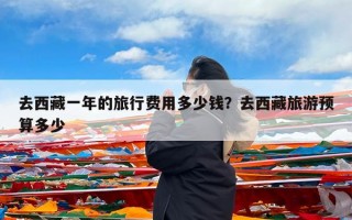 去西藏一年的旅行费用多少钱？去西藏旅游预算多少
