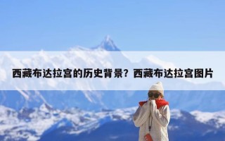 西藏布达拉宫的历史背景？西藏布达拉宫图片
