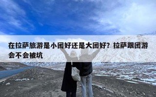 在拉萨旅游是小团好还是大团好？拉萨跟团游会不会被坑