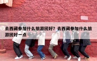 去西藏参加什么旅游团好？去西藏参加什么旅游团好一点