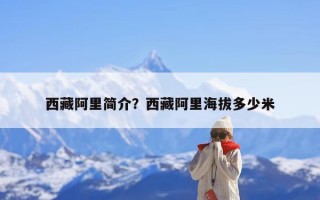 西藏阿里简介？西藏阿里海拔多少米