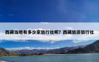 西藏当地有多少家旅行社呢？西藏旅游旅行社