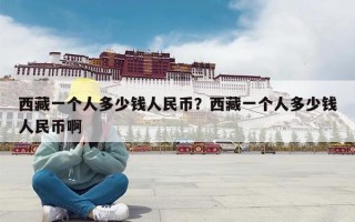 西藏一个人多少钱人民币？西藏一个人多少钱人民币啊