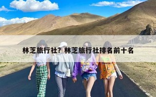 林芝旅行社？林芝旅行社排名前十名