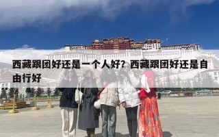 西藏跟团好还是一个人好？西藏跟团好还是自由行好