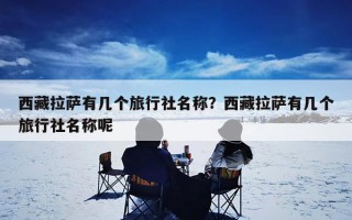 西藏拉萨有几个旅行社名称？西藏拉萨有几个旅行社名称呢