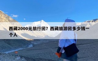 西藏2000元旅行团？西藏旅游团多少钱一个人