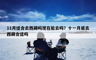 11月适合去西藏吗现在能去吗？十一月底去西藏合适吗