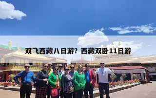 双飞西藏八日游？西藏双卧11日游