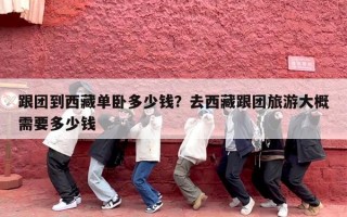 跟团到西藏单卧多少钱？去西藏跟团旅游大概需要多少钱