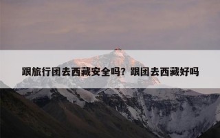 跟旅行团去西藏安全吗？跟团去西藏好吗