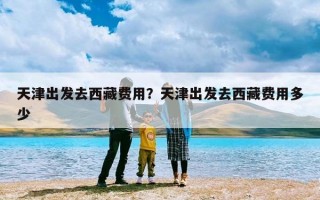 天津出发去西藏费用？天津出发去西藏费用多少