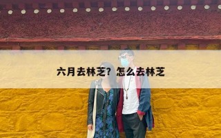 六月去林芝？怎么去林芝