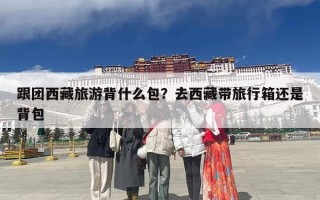 跟团西藏旅游背什么包？去西藏带旅行箱还是背包