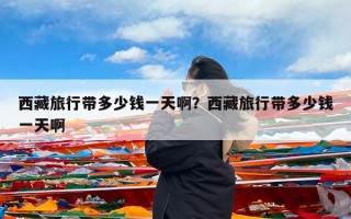 西藏旅行带多少钱一天啊？西藏旅行带多少钱一天啊