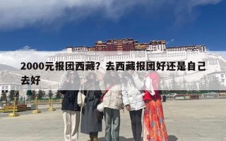 2000元报团西藏？去西藏报团好还是自己去好
