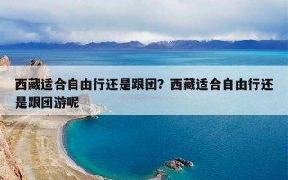 西藏适合自由行还是跟团？西藏适合自由行还是跟团游呢