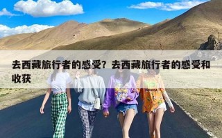 去西藏旅行者的感受？去西藏旅行者的感受和收获