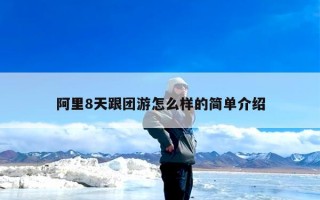 阿里8天跟团游怎么样的简单介绍