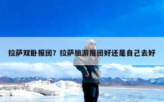 拉萨双卧报团？拉萨旅游报团好还是自己去好