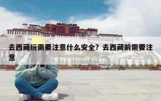 去西藏玩需要注意什么安全？去西藏前需要注意