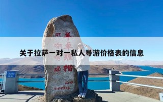 关于拉萨一对一私人导游价格表的信息