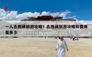 一人去西藏旅游攻略？去西藏旅游攻略和费用是多少