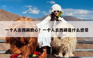 一个人去西藏散心？一个人去西藏是什么感受