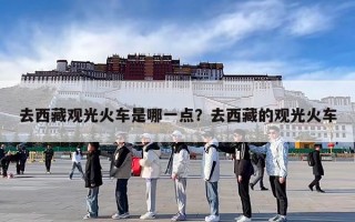 去西藏观光火车是哪一点？去西藏的观光火车