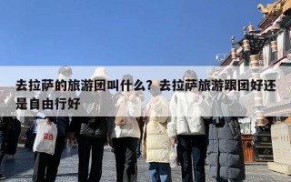 去拉萨的旅游团叫什么？去拉萨旅游跟团好还是自由行好
