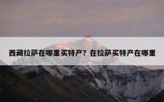 西藏拉萨在哪里买特产？在拉萨买特产在哪里