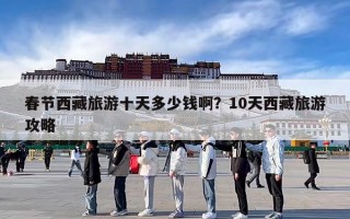 春节西藏旅游十天多少钱啊？10天西藏旅游攻略