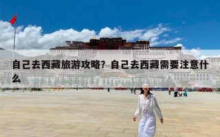 自己去西藏旅游攻略？自己去西藏需要注意什么