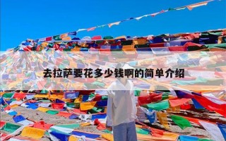 去拉萨要花多少钱啊的简单介绍
