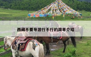 西藏不要导游行不行的简单介绍
